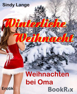 Sindy Lange: Winterliche Weihnacht