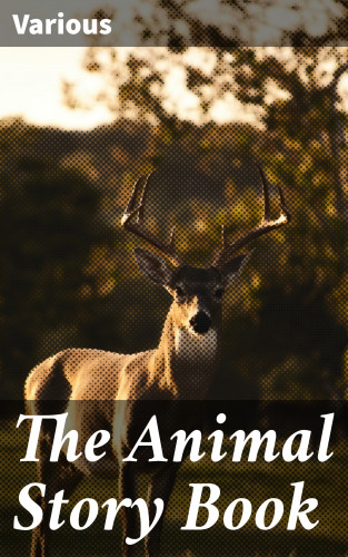 Diverse: The Animal Story Book