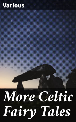 Diverse: More Celtic Fairy Tales