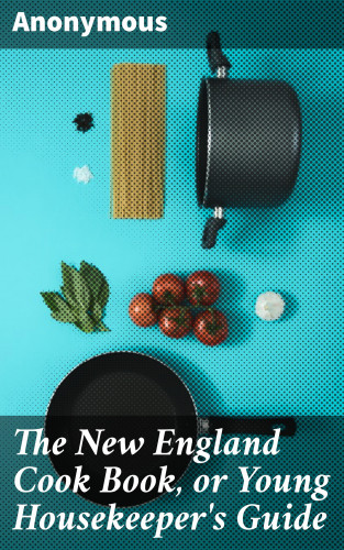 Anonymous: The New England Cook Book, or Young Housekeeper's Guide