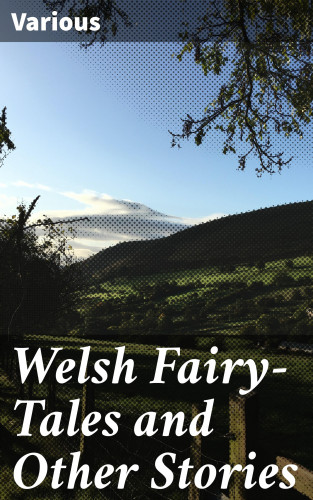 Diverse: Welsh Fairy-Tales and Other Stories