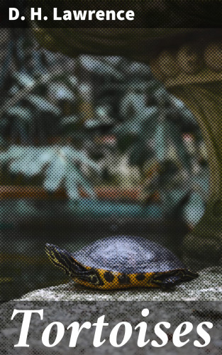 D. H. Lawrence: Tortoises
