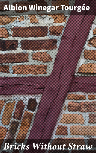 Albion Winegar Tourgée: Bricks Without Straw