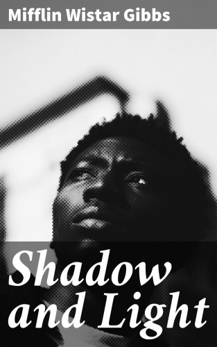 Mifflin Wistar Gibbs: Shadow and Light
