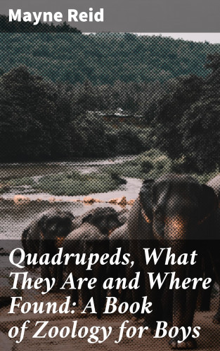 Mayne Reid: Quadrupeds, What They Are and Where Found: A Book of Zoology for Boys