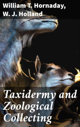 W. J. Holland, William T. Hornaday: Taxidermy and Zoological Collecting