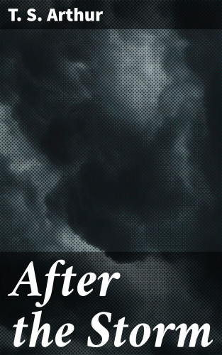 T. S. Arthur: After the Storm