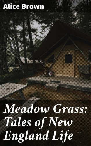 Alice Brown: Meadow Grass: Tales of New England Life