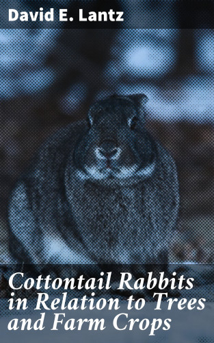 David E. Lantz: Cottontail Rabbits in Relation to Trees and Farm Crops
