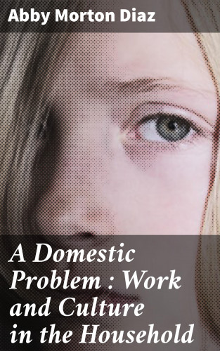 Abby Morton Diaz: A Domestic Problem : Work and Culture in the Household