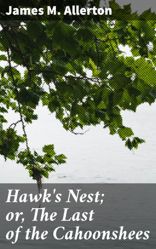 James M. Allerton: Hawk's Nest; or, The Last of the Cahoonshees