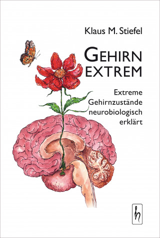 Klaus M. Stiefel: Gehirn extrem