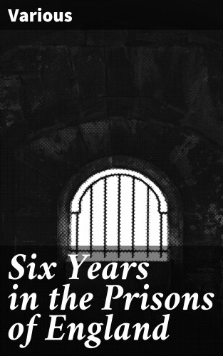 Diverse: Six Years in the Prisons of England