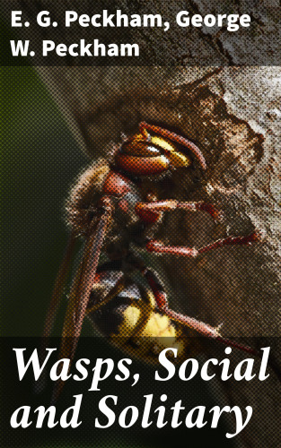 E. G. Peckham, George W. Peckham: Wasps, Social and Solitary