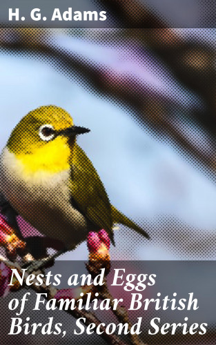 H. G. Adams: Nests and Eggs of Familiar British Birds, Second Series