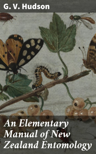 G. V. Hudson: An Elementary Manual of New Zealand Entomology