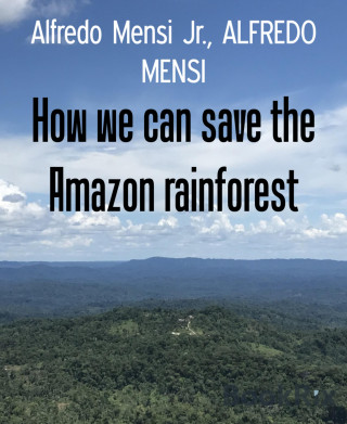 Alfredo Mensi Jr., ALFREDO MENSI: How we can save the Amazon rainforest