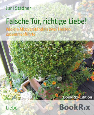 Juni Städner: Falsche Tür, richtige Liebe!