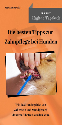 Maria Zuwovski: Die besten Tipps zur Zahnpflege bei Hunden
