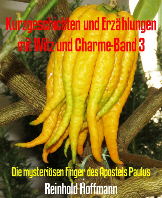 Reinhold Hoffmann: Kurzgeschichten und Erzählungen mit Witz und Charme-Band 3