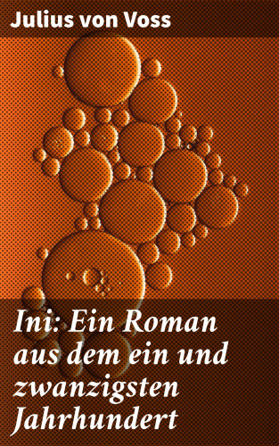 Julius von Voss: Ini: Ein Roman aus dem ein und zwanzigsten Jahrhundert