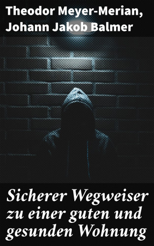 Theodor Meyer-Merian, Johann Jakob Balmer: Sicherer Wegweiser zu einer guten und gesunden Wohnung