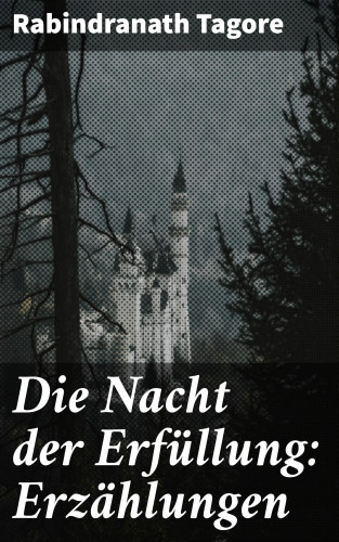 Rabindranath Tagore: Die Nacht der Erfüllung: Erzählungen