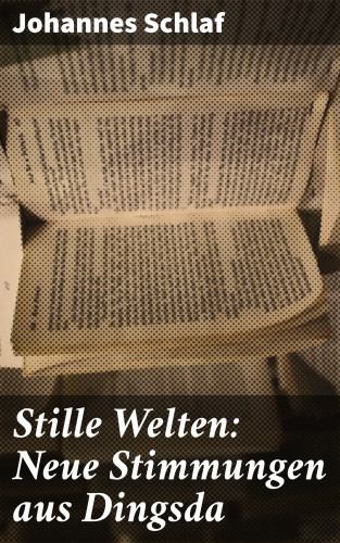 Johannes Schlaf: Stille Welten: Neue Stimmungen aus Dingsda