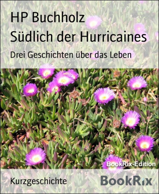 HP Buchholz: Südlich der Hurricaines