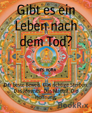 Nils Horn: Gibt es ein Leben nach dem Tod?