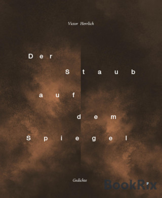 Victor Herrlich: Der Staub auf dem Spiegel