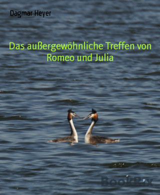 Dagmar Heyer: Das außergewöhnliche Treffen von Romeo und Julia
