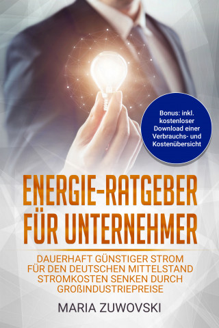 Maria Zuwovski: Energie-Ratgeber für Unternehmer