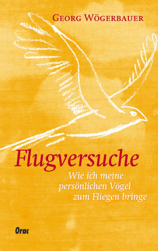 Georg Wögerbauer: Flugversuche