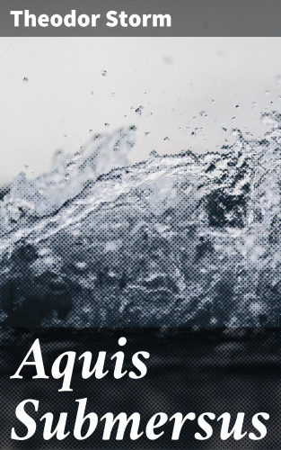 Theodor Storm: Aquis Submersus