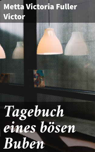 Metta Victoria Fuller Victor: Tagebuch eines bösen Buben