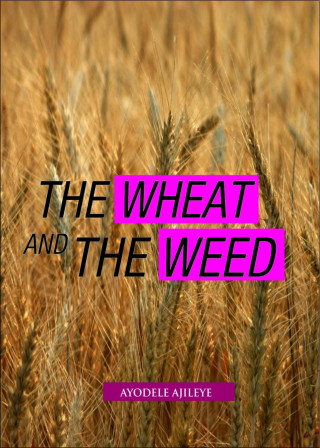 Ayodele Ajileye: The Wheat and the Weed