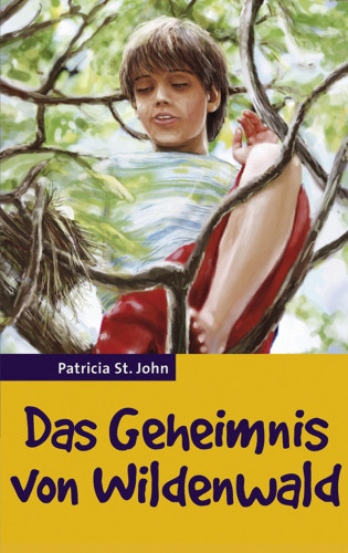 Patricia St John: Das Geheimnis von Wildenwald