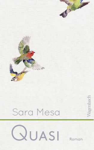 Sara Mesa: Quasi