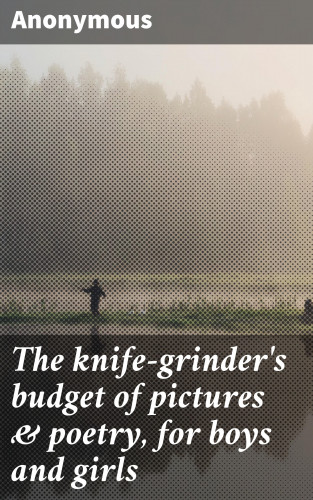 Anonymous: The knife-grinder's budget of pictures & poetry, for boys and girls