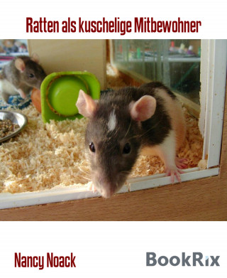 Nancy Noack: Ratten als kuschelige Mitbewohner