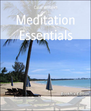 Calaf Wilfahrt: Meditation Essentials