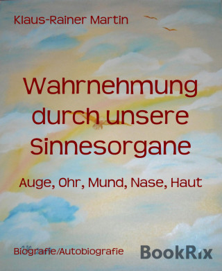 Klaus-Rainer Martin: Wahrnehmung durch unsere Sinnesorgane