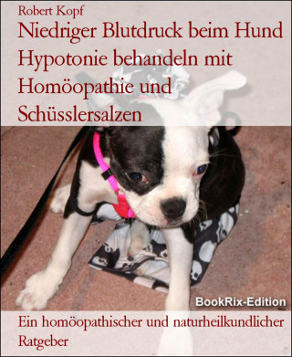 Robert Kopf: Niedriger Blutdruck beim Hund Hypotonie behandeln mit Homöopathie und Schüsslersalzen