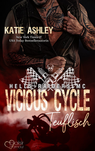 Katie Ashley: Hells Raiders MC Teil 1: Vicious Cycle - Teuflisch