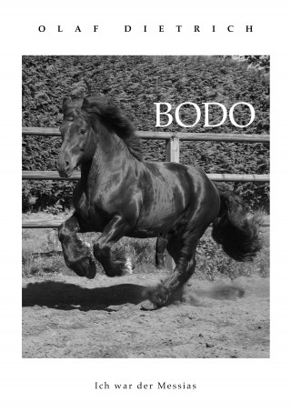 Olaf Dietrich: BODO
