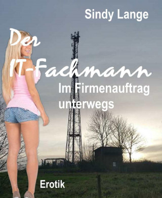 Sindy Lange: Der IT-Fachmann