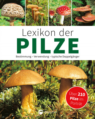 Hans W. Kothe: Lexikon der Pilze: Bestimmung, Verwendung, typische Doppelgänger