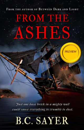 B.C. Sayer: From the Ashes: Preview