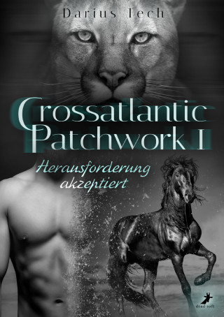 Darius Tech: Crossatlantic Patchwork 1